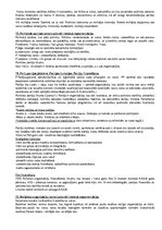 Konspekts 'Konstitucionālās tiesības', 24.