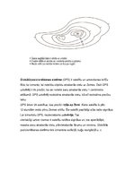 Konspekts 'Zeme', 12.