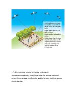 Konspekts 'Zeme', 13.