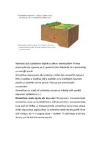 Konspekts 'Zeme', 23.