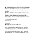 Konspekts 'Zeme', 26.