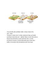 Konspekts 'Zeme', 36.