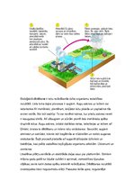 Konspekts 'Zeme', 38.