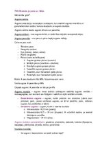 Konspekts 'Augsne', 26.