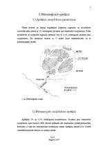 Referāts 'Lejas dzirnavu HES', 5.
