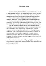 Referāts 'Grāmata "Ēnu vīrs"', 6.