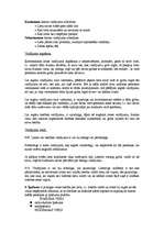 Konspekts 'Civiltiesības', 4.