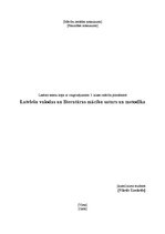 Konspekts 'Lasāmo tekstu kopa ar vingrinājumiem 3.klasei', 1.