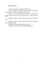 Konspekts 'Lasāmo tekstu kopa ar vingrinājumiem 3.klasei', 18.