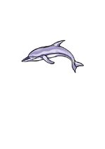 Konspekts 'Zemūdens pasaule', 24.