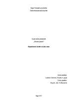 Referāts 'Hipotekārais kredīts un ķīlu zīmes', 1.