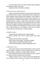 Referāts 'Prakses atskaite SIA "Antti"', 17.