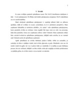 Referāts 'Apbedīšanas nozares apraksts', 3.