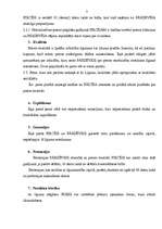 Referāts 'Uzņēmuma juridiskā dienesta darba organizēšana', 7.