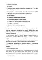 Prakses atskaite 'Prakses atskaite finanšu grāmatvedībā', 7.