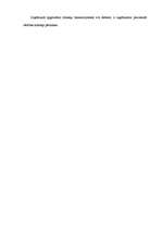 Prakses atskaite 'Prakses atskaite finanšu grāmatvedībā', 25.