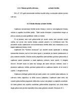 Prakses atskaite 'Prakses atskaite finanšu grāmatvedībā', 26.