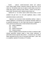 Prakses atskaite 'Prakses atskaite finanšu grāmatvedībā', 31.