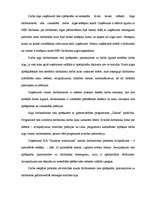 Prakses atskaite 'Prakses atskaite finanšu grāmatvedībā', 33.