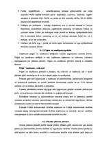 Prakses atskaite 'Prakses atskaite finanšu grāmatvedībā', 42.