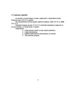 Biznesa plāns 'Biznesa plāns', 6.