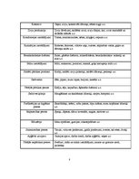 Biznesa plāns 'Biznesa plāns', 8.