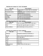 Biznesa plāns 'Biznesa plāns', 9.