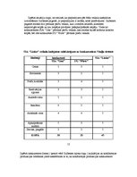 Biznesa plāns 'Biznesa plāns', 12.