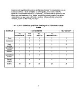 Biznesa plāns 'Biznesa plāns', 13.