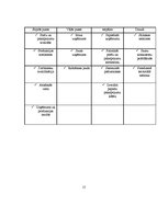 Biznesa plāns 'Biznesa plāns', 15.