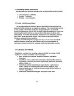 Biznesa plāns 'Biznesa plāns', 17.