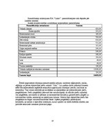 Biznesa plāns 'Biznesa plāns', 19.