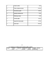 Biznesa plāns 'Biznesa plāns', 24.