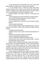 Referāts 'Hipotēka un hipotekārā kreditēšana', 16.