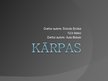Prezentācija 'Kārpas', 1.