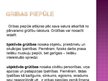 Prezentācija 'Griba', 4.