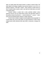 Diplomdarbs 'Grafisko uzskates līdzekļu izmantošana dzimtās (krievu) valodas apmācībā mazākum', 46.