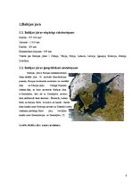 Referāts 'Baltijas jūras piesārņojums', 6.