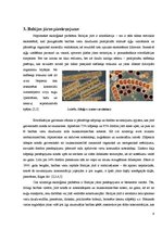 Referāts 'Baltijas jūras piesārņojums', 9.