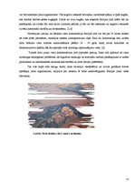 Referāts 'Baltijas jūras piesārņojums', 10.