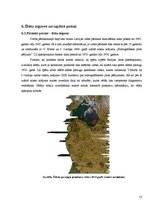 Referāts 'Baltijas jūras piesārņojums', 13.