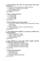 Paraugs 'Lietvedības tests', 7.