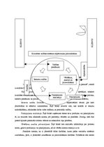 Referāts 'ISO 9001:2000', 6.