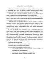 Referāts 'Neretas pašvaldības budžeta sastādīšana un izpildīšana', 17.