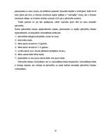 Referāts 'Neretas pašvaldības budžeta sastādīšana un izpildīšana', 19.