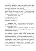 Referāts 'Valsts policijas teritoriālās pārvaldes vai iecirkņa darbības efektivitātes novē', 11.