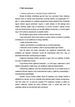 Prakses atskaite 'Uzņēmuma analīze', 1.