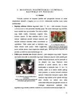 Referāts 'Begoniju aizsardzības projekts begoniju audzēšanai modeļsaimniecībā', 12.
