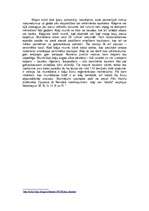 Konspekts 'Mūsu mīluļi - kaķi', 9.