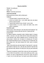 Konspekts 'Runas nodarbība', 1.